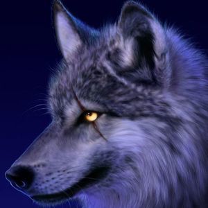 Meet your Posher, Diego